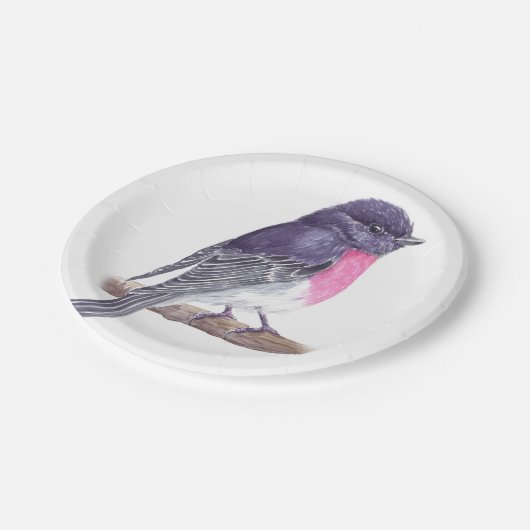 Roos robin papieren bordje (Gekanteld)