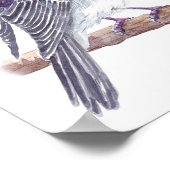 Roos robin poster (Hoek)