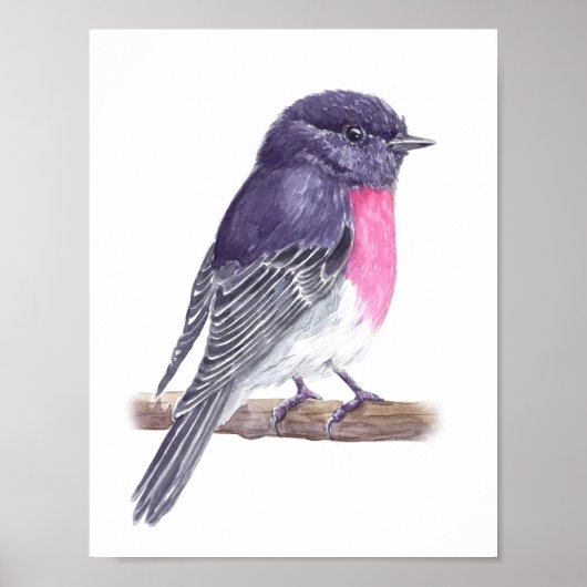 Roos robin poster (Voorkant)