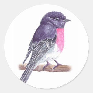Roos robin ronde sticker