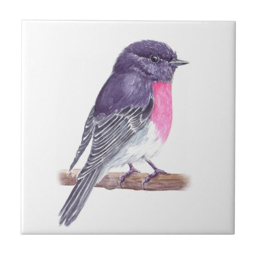 Roos robin tegeltje (Voorkant)