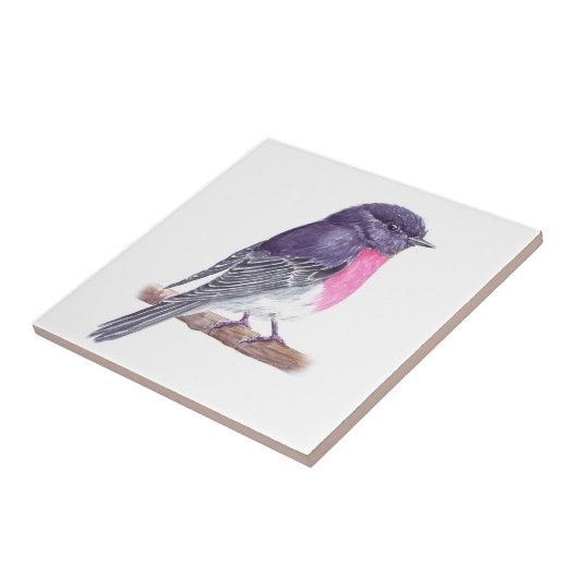 Roos robin tegeltje (Zijkant)