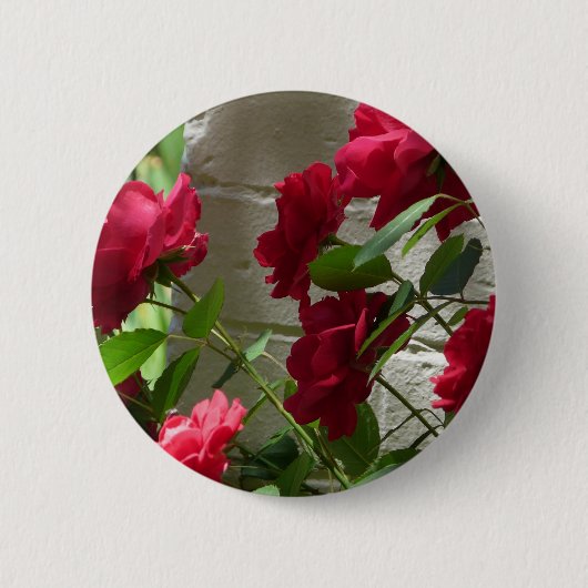 roos, rode roos ronde button 5,7 cm (Voorkant)