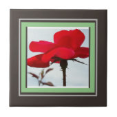 roos rood tegeltje (Voorkant)