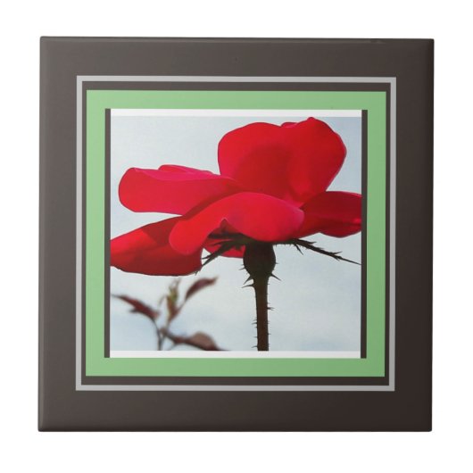 roos rood tegeltje (Voorkant)