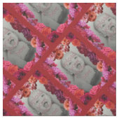 Roos Roos Lijst Aangepaste fotoverbinding Stof (Close Up)