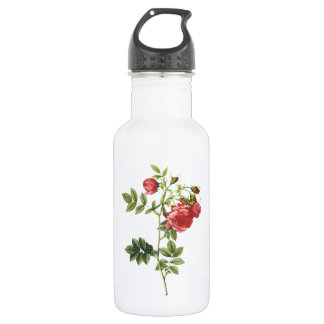 roos (Rosa rapa) van Redouté Waterfles
