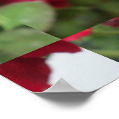Roos Rote Blume Poster (Hoek)