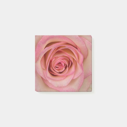 Roos Roze Blume Post-it® Notes (Voorkant)