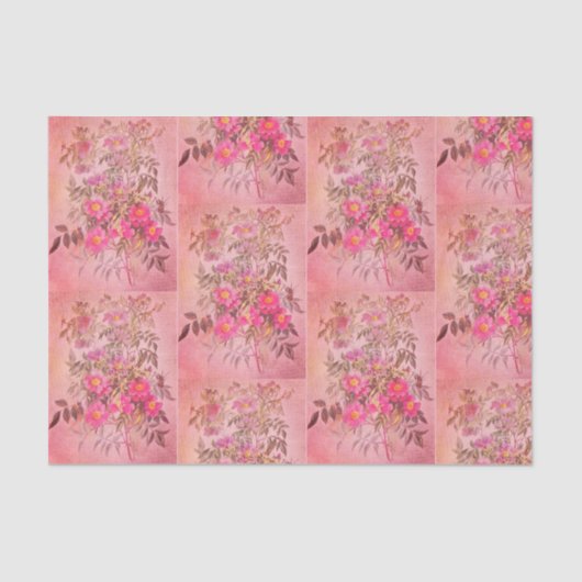 Roos Roze Florence-papier Tissuepapier (Voorkant)