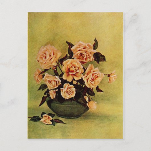  Roos Safrano door Frederick Martin Briefkaart (Voorkant)