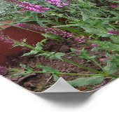 Roos salvia, artemesia en chives poster (Hoek)