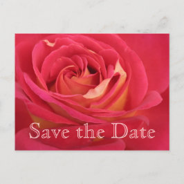 Roos Save the date 70th Birthday Celebration Postc Aankondigingskaart