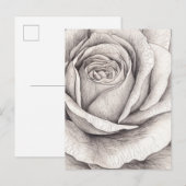 Roos schets briefkaart (Voorkant / Achterkant)