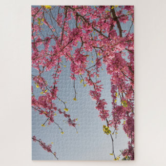 Roos schoonheid legpuzzel