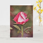 Roos Scripture Kaart Psalm 33:1 (Gele Bloem)