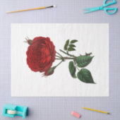 Roos serie ontwerp 116 Tissuepapier (Craft)