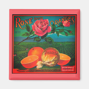 Roos sinaasappels fruitlabel magneet