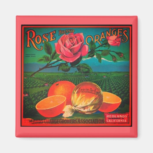 Roos sinaasappels  fruitlabel magneet (Voorkant)