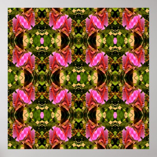 Roos spectaculair.. poster (Voorkant)