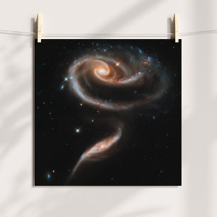 Roos Spiraal Stelsels Poster