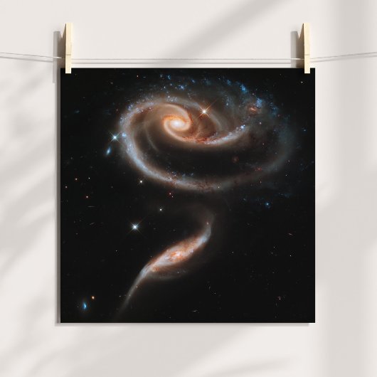Roos Spiraal Stelsels Poster