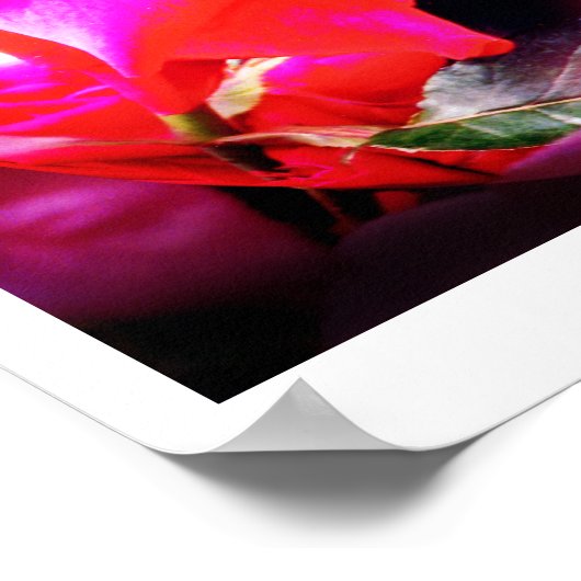 Roos-spirituele kunst poster (Hoek)