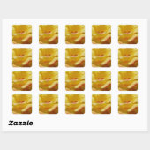 Roos Square Stickers (Vel)