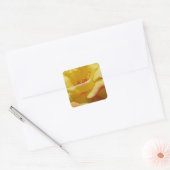 Roos Square Stickers (Envelop)