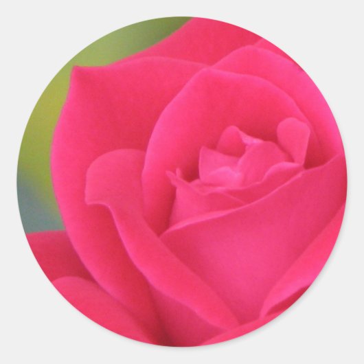 Roos sticker (Voorkant)
