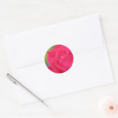 Roos sticker (Envelop)
