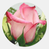 Roos Sticker (Voorkant)