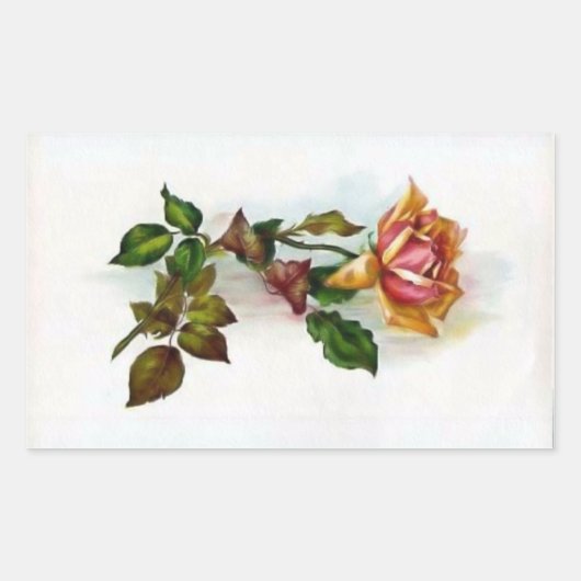  Roos sticker (Voorkant)