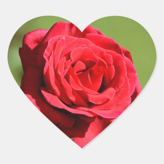 Roos Stickers (Voorkant)