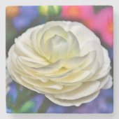 Roos Stone Onderzetter (Voorkant)