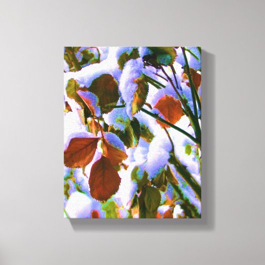 Roos Struik Canvas Afdruk (Voorkant)