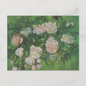 Roos Struik door Vincent Van Gogh Briefkaart (Voorkant)