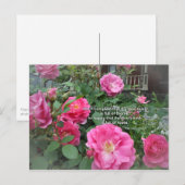 Roos Struik Happy Pink Roses Quote German Proverb Briefkaart (Voorkant / Achterkant)