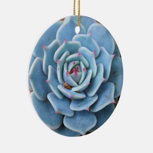Roos Succulent Ornament (Rechts)