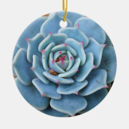 Roos Succulent Ornament