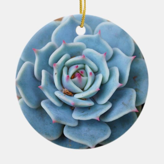 Roos Succulent Ornament (Voorkant)
