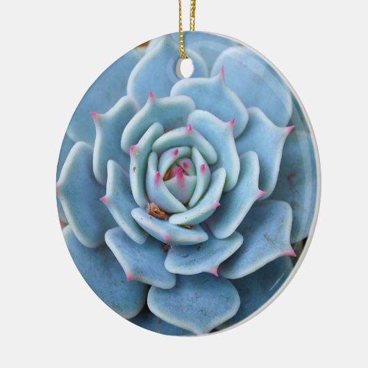 Roos Succulent Ornament (Links)