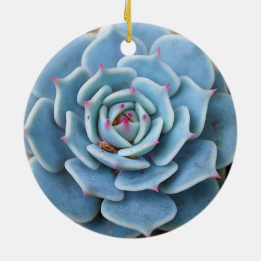 Roos Succulent Ornament (Achterkant)