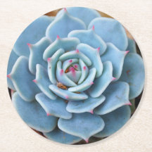 Roos Succulent Round Onderzetter