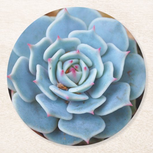 Roos Succulent Round Onderzetter (Voorkant)