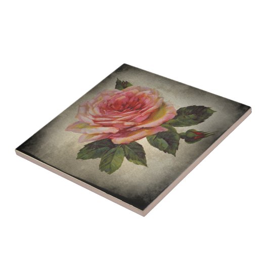  roos tegeltje (Zijkant)