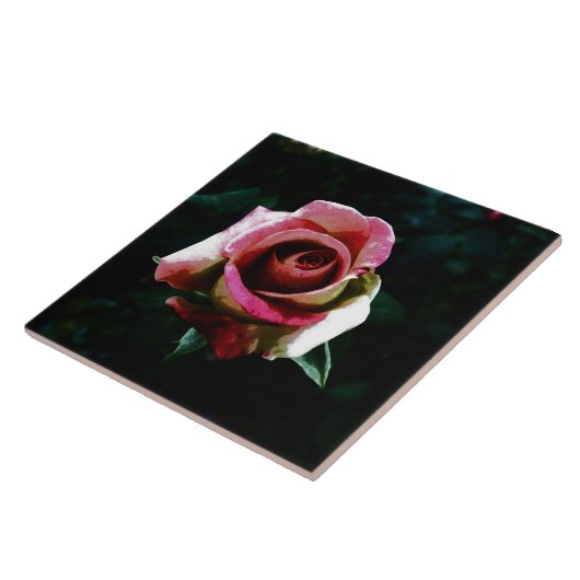 roos  tegeltje (Zijkant)