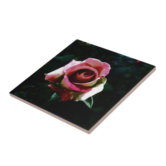 roos  tegeltje (Zijkant)