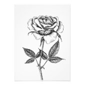 Roos tekenen foto afdruk (Voorkant)