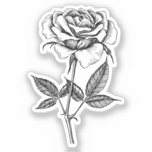 Roos tekenen sticker